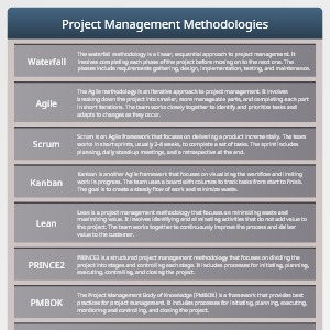 VisFlare template preview. Project Management Methodologies